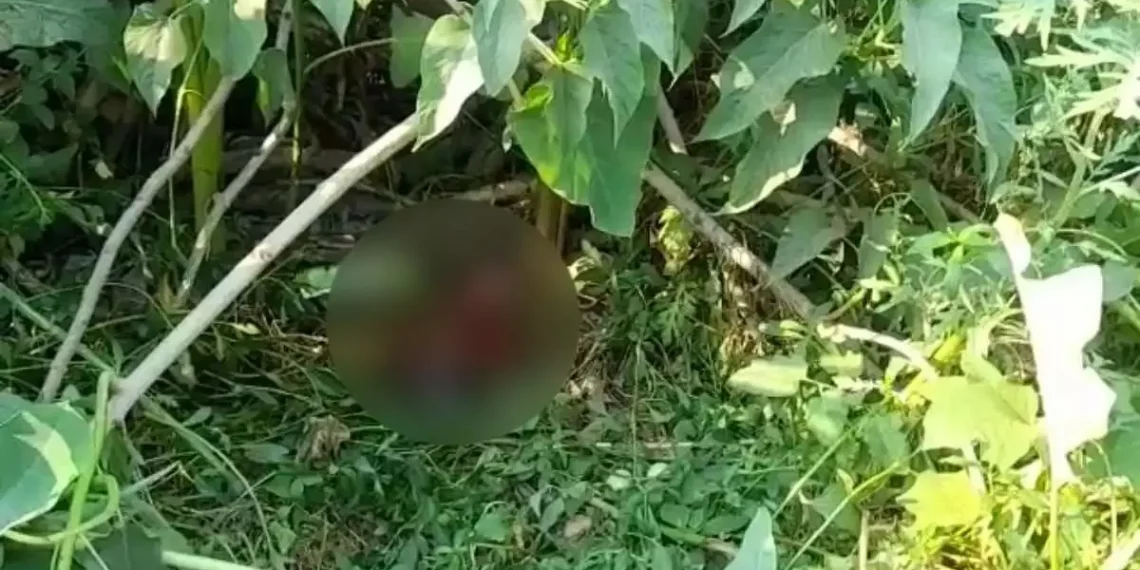 धारानौला रामलीला मैदान के समीप मिला शव क्षेत्र में मच गया हड़कंप