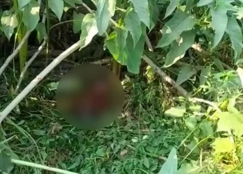 धारानौला रामलीला मैदान के समीप मिला शव क्षेत्र में मच गया हड़कंप