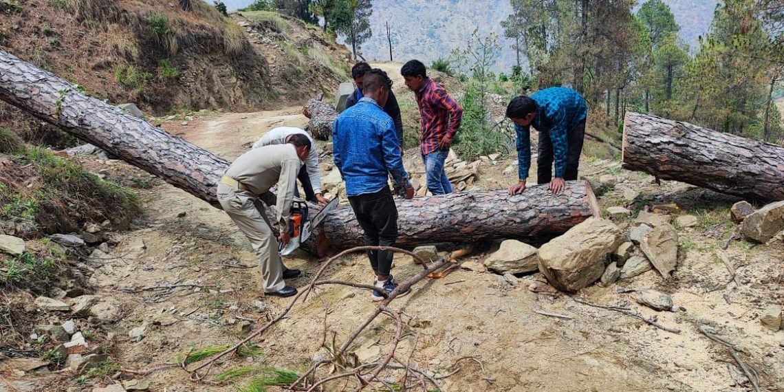 लमगड़ा पुलिस ने अतिवृष्टि से सड़क पर गिरे पेड़ को हटाकर यातायात को किया सुचारू
