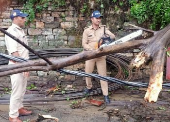 कोतवाली अल्मोड़ा पुलिस द्वारा आंधी तूफान, तेज बारिश से M.E.S के पास सड़क पर गिरे पेड़ को हटाकर बाधित यातायात को किया सुचारू