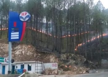 एचपी पेट्रोल पंप पर पहुँची जंगल की आग, मचा हड़कंप