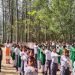राजकीय उच्चतर माध्यमिक विद्यालय चौरा कलेत में तम्बाकू निषेध दिवस मनाया गया