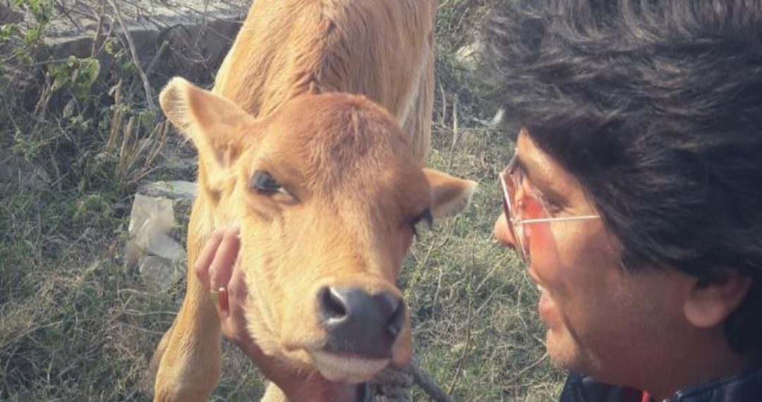 पशुओं के प्रति अगाध प्रेम कूट कूट कर भरा है पशुओं की सेवा में दिन रात तल्लीन रहते हैं सूर्या सिंह राणा