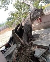 अल्मोड़ा/पिथौरागढ़ मोटर मार्ग मैं बड़ा हादसा होने से टला जानिए क्या है मामला