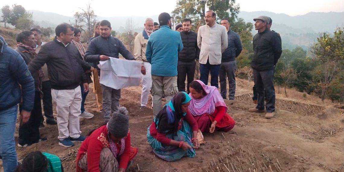जिलाधिकारी ने कलस्टर आधारित शहतूत वृक्षारोपण का शुभारंभ किया