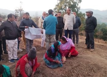 जिलाधिकारी ने कलस्टर आधारित शहतूत वृक्षारोपण का शुभारंभ किया