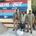 लो जी अब अंडे की टोकरी में हो रही थी गांजे की तस्करी पुलिस ने तस्कर को दबोचा दो लाख रुपए का गांजा बरामद