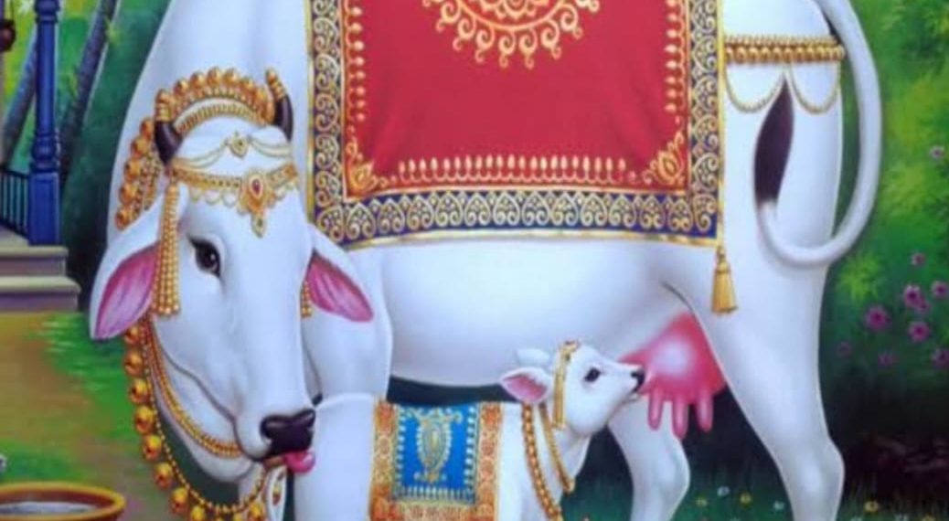 हिंदू धर्म में गौ- वंश की महत्ता*