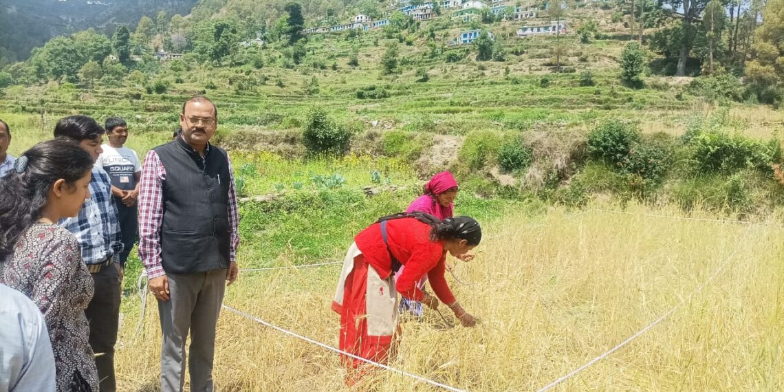 जिलाधिकारी आलोक कुमार पांडेय की देखरेख में ग्राम बल्टा में गेहूं की क्रॉप कटिंग का निरीक्षण
