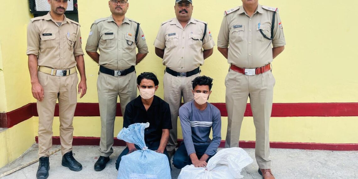 पिकअप में सब्जी बताकर गांजा कर रहे थे पार, सल्ट पुलिस टीम की सतर्कता से तस्करों के मंसूबों पर फिरा पानी
