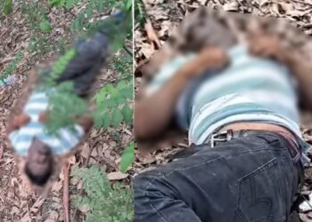 झाड़ियों में मिला प्रॉपर्टी डीलर का शव, इलाके में फैली दहशत!