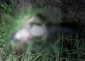 जागेश्वर क्षेत्र में गधेरे के पास सड़ा-गला शव मिलने से सनसनी, शिनाख्त में जुटी पुलिस