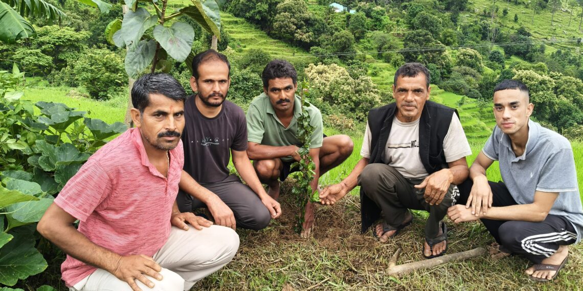 भट्टीगांव में हरेला पर्व पर वृक्षारोपण, समाज सेवा की मिसाल बने पूर्व प्रधान लक्ष्मण सिंह कार्की