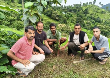 भट्टीगांव में हरेला पर्व पर वृक्षारोपण, समाज सेवा की मिसाल बने पूर्व प्रधान लक्ष्मण सिंह कार्की