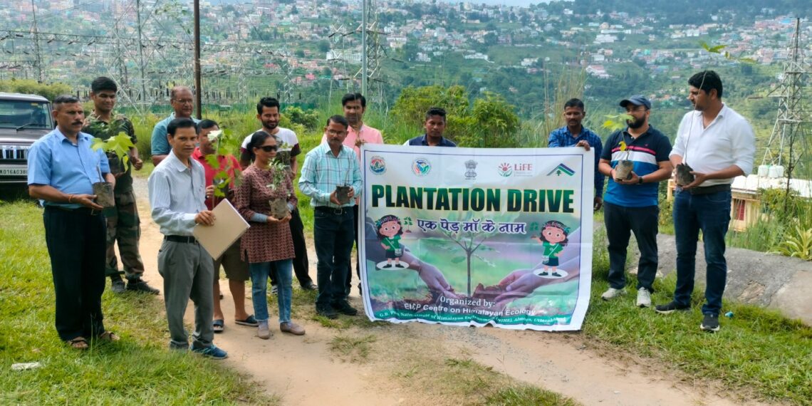 पिटकुल, अल्मोड़ा परिसर में वृक्षारोपण कार्यक्रम का सफल आयोजन