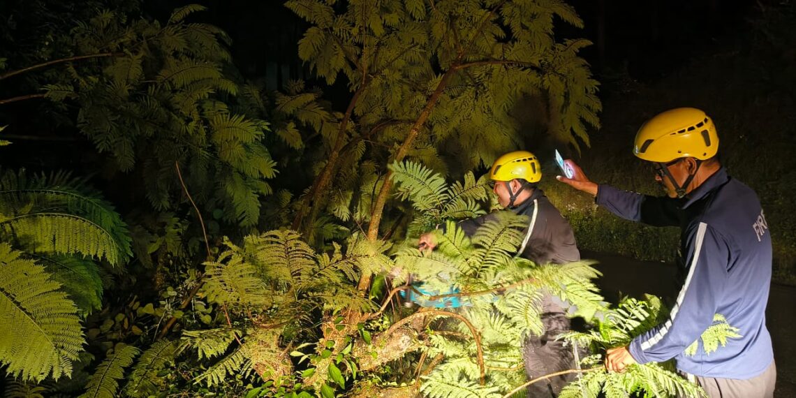 आपदा में तत्परता की मिसाल बनी अल्मोड़ा फायर सर्विस