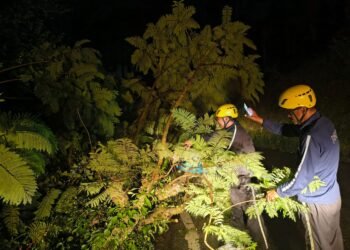 आपदा में तत्परता की मिसाल बनी अल्मोड़ा फायर सर्विस