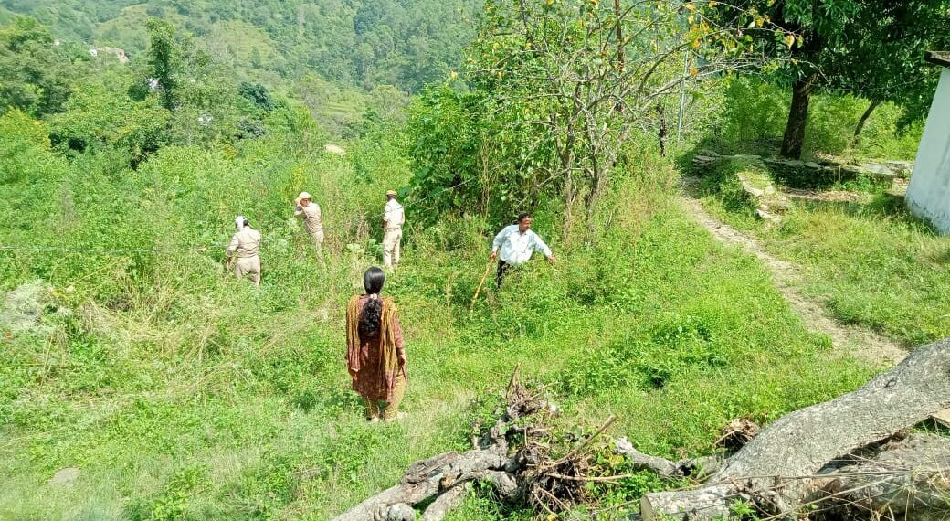 द्वाराहाट में अवैध भांग की खेती पर बड़ी कार्रवाई, 8–10 नाली फसल नष्ट