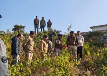 अल्मोड़ा के सल्ट क्षेत्र में 161 जैलेटिन रॉड मिलने से हड़कंप, एसएसपी देवेंद्र पींचा ने संभाला मोर्चा