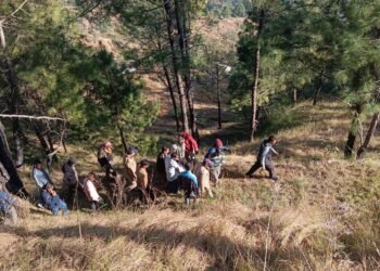 अनियंत्रित होकर खाई में गिरी मैक्स, घायलों को द्वाराहाट पुलिस ने स्थानीय लोगों की मदद से किया रेस्क्यू