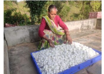 रेशम उत्पादन से आत्मनिर्भर बनीं ग्राम दशौली की चम्पा देवी  सरकारी योजनाओं और तकनीकी सहयोग से बदली किस्मत, बनीं महिला सशक्तिकरण की प्रेरणास्रोत