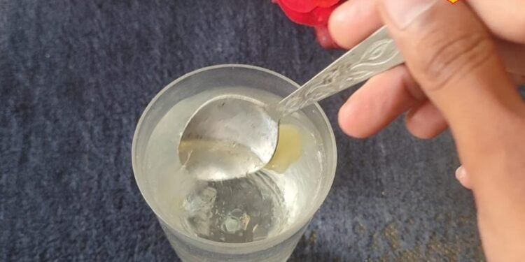 सुबह खाली पेट गुनगुने पानी के साथ बस एक चम्मच ले लें घी! वजन होगा कंट्रोल, कब्ज और जोड़ों का दर्द होगा दूर