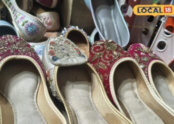 Dehradun News : देहरादून के बाजारों में हाथोंहाथ बिक रही ये पाकिस्तानी चीज, इनकी नजाकत के कहने ही क्या