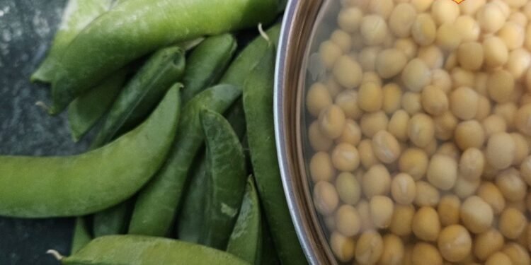 Tasty Chaat: हरी या पीली मटर? जानिए मार्केट वाली टेस्टी चाट का असली सीक्रेट, जो बदल देगा हर बाइट का स्वाद