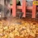 Non-Veg के शौकीनों! ट्राई करें देहरादून की ये फेमस स्ट्रीट डिश, पहाड़ों में घूमने का मज़ा होगा डबल!