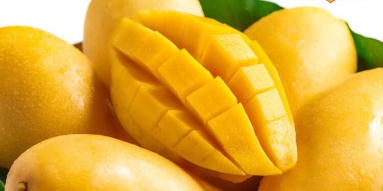 Health Tips: क्या सच में आम खाने के बाद पानी पीने से होता है नुकसान? जानिए क्या कहता है आयुर्वेद और विज्ञान