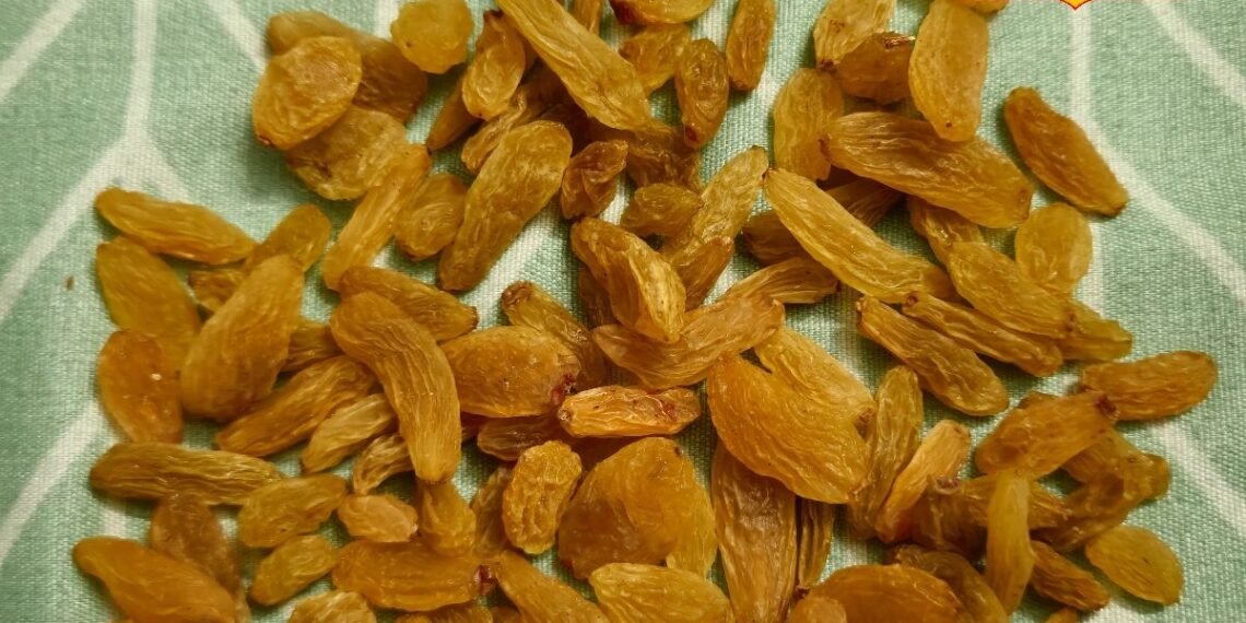 बाजार से क्यों लें? घर पर ही बनाएं हेल्दी किशमिश, सिर्फ 7-10 दिन में तैयार, स्वाद और हेल्थ दोनों में टॉप!