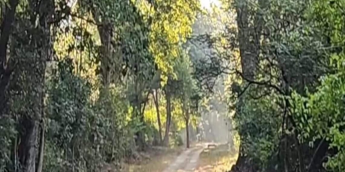 गढ़वाल-कुमाऊं की दूरी होगी कम! कंडी मार्ग को मिली रफ्तार, अनिल बलूनी ने अपने हाथों में ली जिम्मेदारी