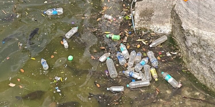 नैनीझील किनारे पर्यटकों की शर्मनाक हरकत पर फूटा स्थानीय लोगों का गुस्सा, जानिए क्या बोले पालिका EO?