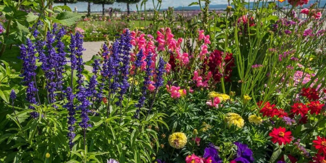 Gardening Tips: गर्मियों में सूख रहे हैं पौधे? सिर्फ पानी नहीं, इन बातों का भी रखें ख्याल, गार्डन रहेगा हरा-भरा