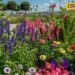 Gardening Tips: गर्मियों में सूख रहे हैं पौधे? सिर्फ पानी नहीं, इन बातों का भी रखें ख्याल, गार्डन रहेगा हरा-भरा