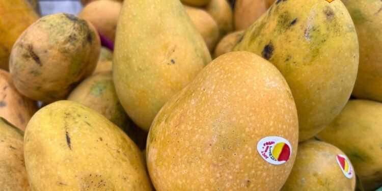 Beauty Tips: डल स्किन और फ्रिजी बालों से परेशान? मैंगो के ये आसान ब्यूटी हैक्स बदल देंगे आपका लुक