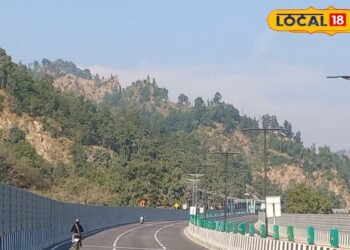 एशिया का सबसे बड़ा वाइल्डलाइफ कॉरिडोर और यूरोपीय तकनीक, दिल्ली-देहरादून एक्सप्रेसवे क्यों है इतना खास?