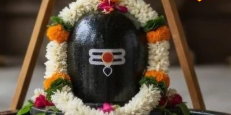 Shivling Vastu : आपके घर में भी है शिवलिंग? वास्तु का ये नियम नहीं माना तो आफत आनी तय