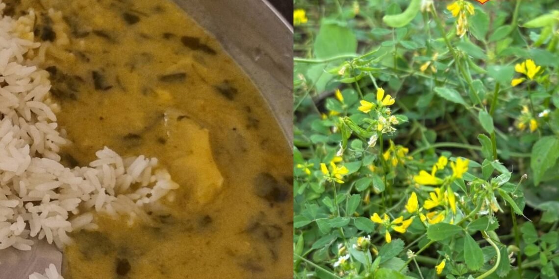 गर्मियों में शरीर को रखेगी कूल, पाचन बनाएगी दुरुस्त! ट्राई करें एकदम लाजवाब स्वाद वाली ये पहाड़ी झोली रेसिपी