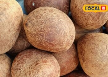 सख्त सूखा नारियल बन जाएगा फिर से ताजा-मुलायम! बस अपनाएं 2 दिन वाली ये खास ट्रिक