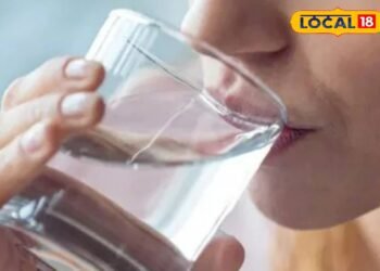 हर वक्त पानी पीना समझते हैं फायदेमंद? डॉक्टर ने बताया कब यही आदत पहुंचा सकती है बड़ा नुकसान