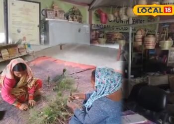 पहाड़ का पीला सोना, कबाड़ से कमाल कर रही हैं उत्तराखंड की महिलाएं, जो जंगलों की है दुश्मन, जाने