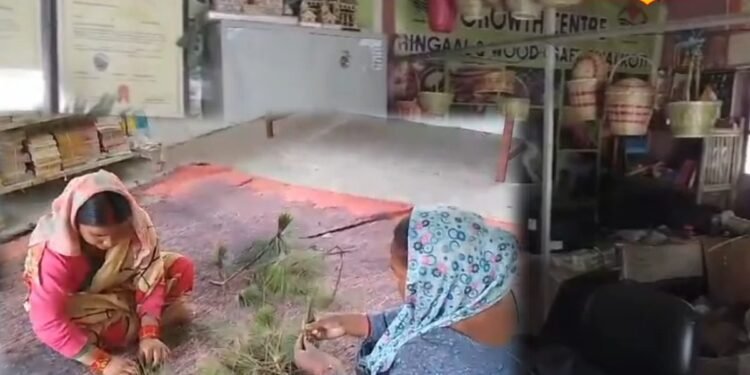 पहाड़ का पीला सोना, कबाड़ से कमाल कर रही हैं उत्तराखंड की महिलाएं, जो जंगलों की है दुश्मन, जाने