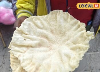 Suji Papad in Nainital: माल रोड पर घूमने आएं तो जरूर चखें यह 20 रुपये वाला खास पापड़, स्वाद ऐसा कि दीवाना बना दे