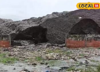 Dehradun News: स्वच्छ दून का सपना धुंधला, शीशमबाड़ा डंपिंग ग्राउंड से त्रस्त लोग, बदबू और बीमारियों ने छीनी राहत