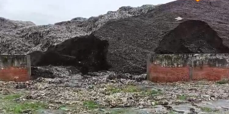 Dehradun News: स्वच्छ दून का सपना धुंधला, शीशमबाड़ा डंपिंग ग्राउंड से त्रस्त लोग, बदबू और बीमारियों ने छीनी राहत