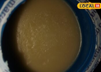 Hair Care Tips : नारियल तेल, करी पत्ता, गुड़हल फूल…बालों को झड़ने से रोकेगी पहाड़ों की ये जादुई ट्रिक