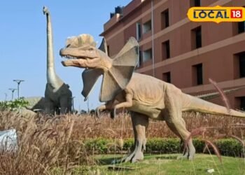 देहरादून की ये 8 जगहें बच्चों के लिए हैं परफेक्ट, जहां मस्ती के साथ बढ़ेगा ज्ञान, छुट्टियों में जरूर घुमाएं