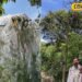पहाड़ों से पलायन कम करेगा मूंगा, जानें उत्तराखंड में कैसे करें सबसे महंगे रेशम की खेती! 2-3 महीने में लाखों की कमाई पक्की
