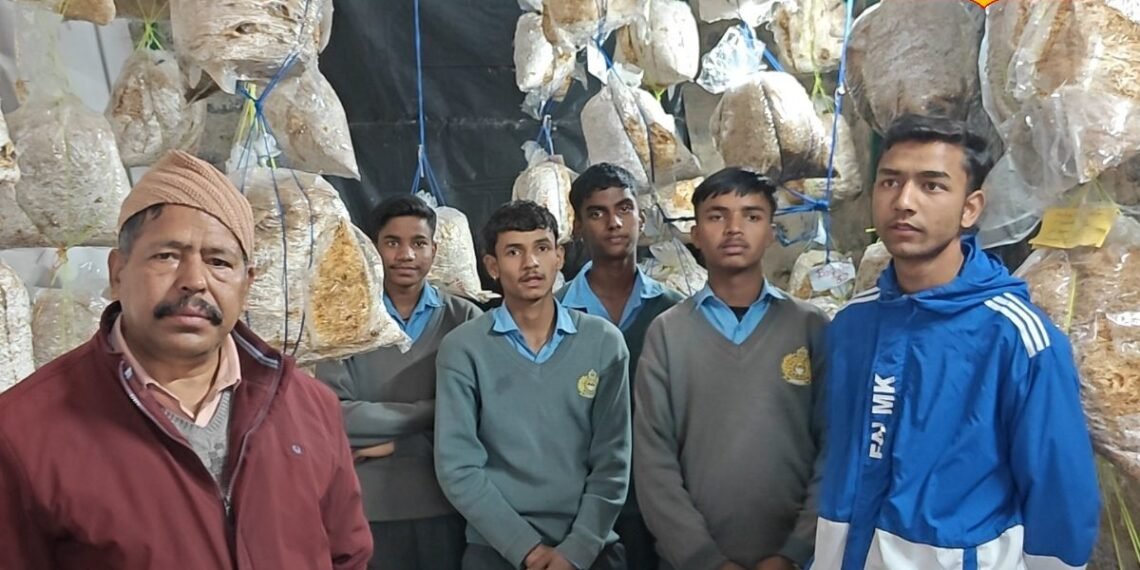 क्लासरूम से खेती तक! नैनीताल के इस स्कूल में बच्चे बन रहे यंग एंटरप्रेन्योर, सीख रहें मशरूम उगाना
